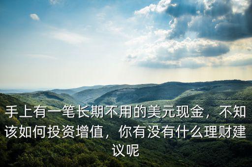 手上有一筆長期不用的美元現(xiàn)金，不知該如何投資增值，你有沒有什么理財建議呢