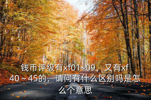 錢幣評(píng)級(jí)有xf01~09，又有xf40～45的，請(qǐng)問有什么區(qū)別嗎是怎么個(gè)意思