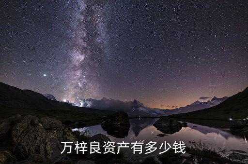 萬梓良資產有多少錢
