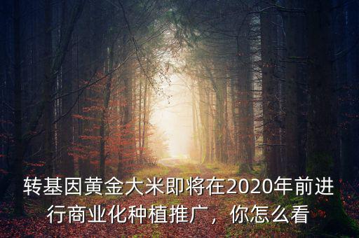 轉(zhuǎn)基因黃金大米即將在2020年前進行商業(yè)化種植推廣，你怎么看