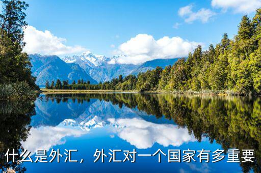 什么是外匯，外匯對一個國家有多重要