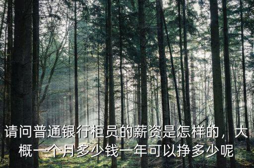 請問普通銀行柜員的薪資是怎樣的，大概一個月多少錢一年可以掙多少呢