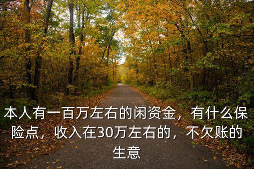 本人有一百萬左右的閑資金，有什么保險(xiǎn)點(diǎn)，收入在30萬左右的，不欠賬的生意