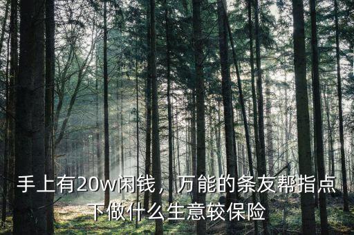 手上有20w閑錢，萬能的條友幫指點(diǎn)下做什么生意較保險(xiǎn)