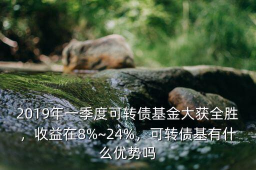 2019年一季度可轉(zhuǎn)債基金大獲全勝，收益在8%~24%，可轉(zhuǎn)債基有什么優(yōu)勢(shì)嗎