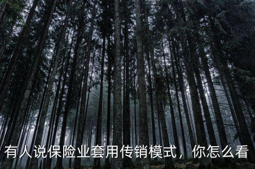 有人說保險(xiǎn)業(yè)套用傳銷模式，你怎么看