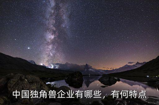 中國獨角獸企業(yè)有哪些，有何特點