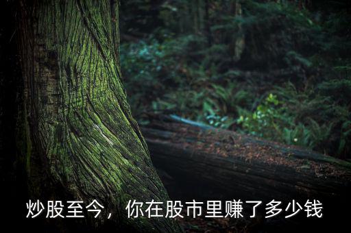 炒股至今，你在股市里賺了多少錢(qián)
