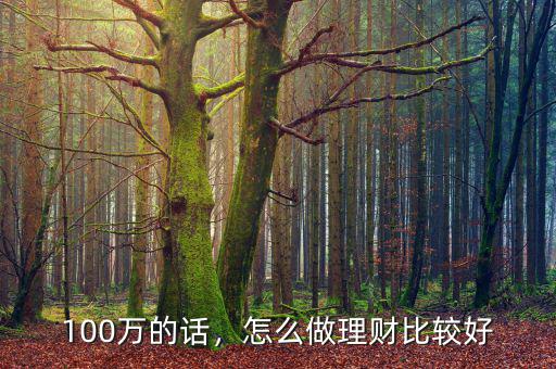 100萬(wàn)的話，怎么做理財(cái)比較好