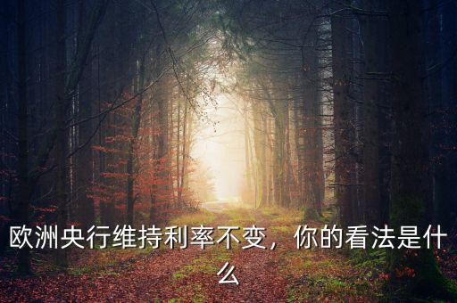 歐洲央行維持利率不變，你的看法是什么
