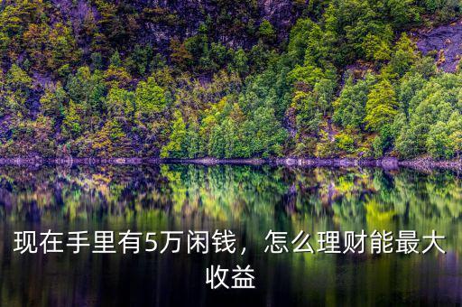現(xiàn)在手里有5萬(wàn)閑錢(qián)，怎么理財(cái)能最大收益