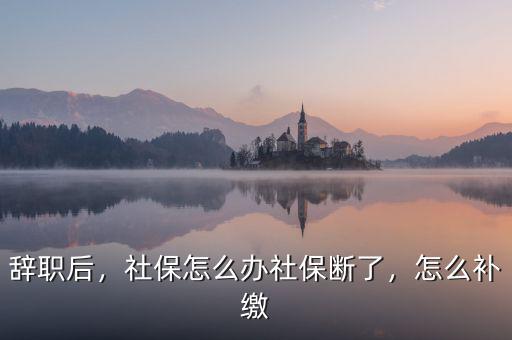 辭職后，社保怎么辦社保斷了，怎么補(bǔ)繳