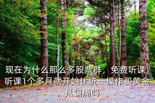 現(xiàn)在為什么那么多股票群，免費聽課，聽課1個多月就開始讓統(tǒng)一操作買黃金，是騙局嗎