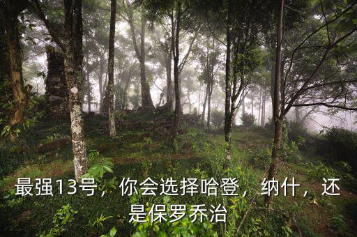 最強(qiáng)13號，你會選擇哈登，納什，還是保羅喬治