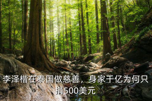 李澤楷在泰國(guó)做慈善，身家千億為何只捐500美元