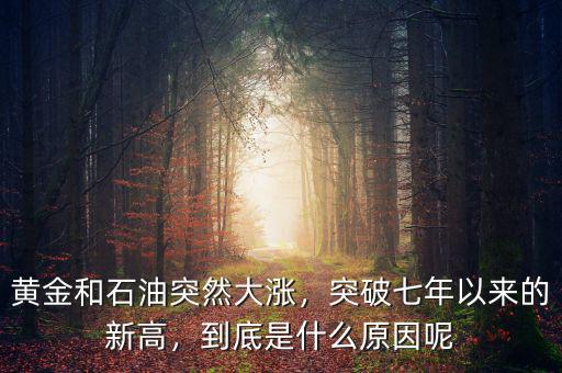 黃金和石油突然大漲，突破七年以來的新高，到底是什么原因呢