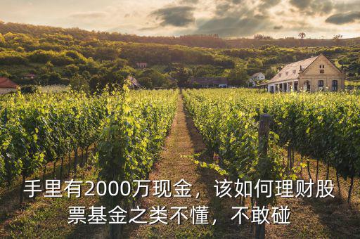 手里有2000萬現(xiàn)金，該如何理財(cái)股票基金之類不懂，不敢碰