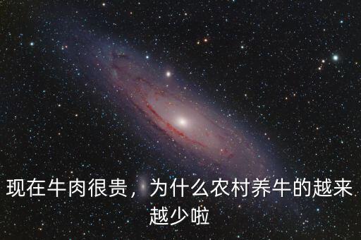 現(xiàn)在牛肉很貴，為什么農(nóng)村養(yǎng)牛的越來越少啦