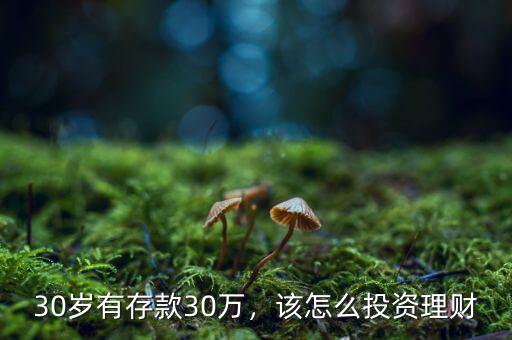 30歲有存款30萬，該怎么投資理財