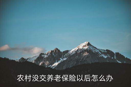 沒(méi)交過(guò)養(yǎng)老保險(xiǎn)怎么辦,從沒(méi)繳納過(guò)養(yǎng)老保險(xiǎn)怎么辦
