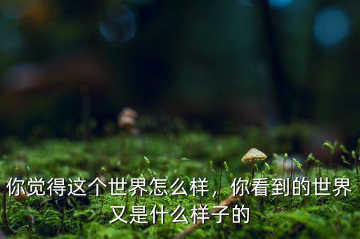 你覺得這個世界怎么樣，你看到的世界又是什么樣子的