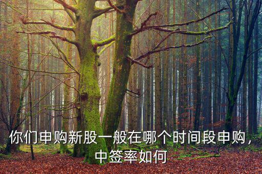 你們申購新股一般在哪個(gè)時(shí)間段申購，中簽率如何