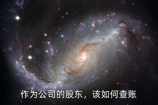 作為公司的股東，該如何查賬