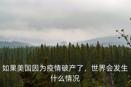 如果美國因為疫情破產(chǎn)了，世界會發(fā)生什么情況