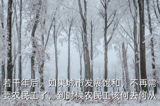 若干年后，如果城市發(fā)展飽和，不再需要農(nóng)民工了，到時(shí)候農(nóng)民工該何去何從