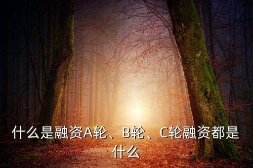 什么是融資A輪、B輪、C輪融資都是什么