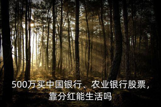 500萬(wàn)買中國(guó)銀行、農(nóng)業(yè)銀行股票，靠分紅能生活嗎