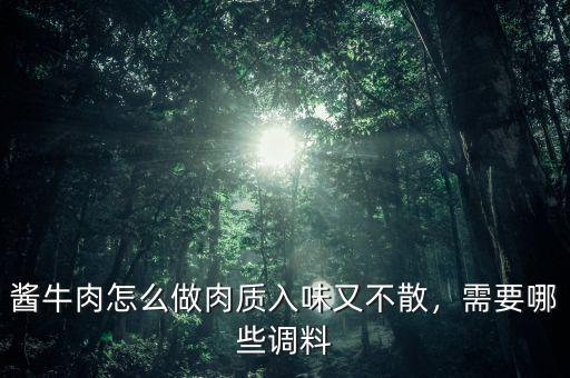 醬牛肉怎么做肉質(zhì)入味又不散，需要哪些調(diào)料