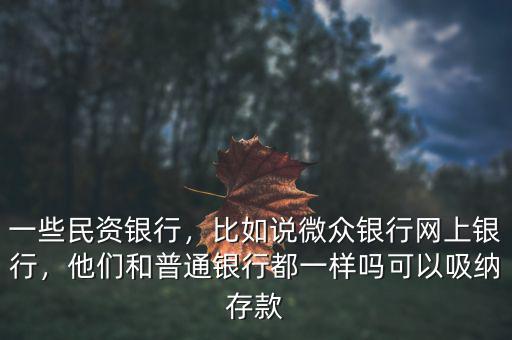 一些民資銀行，比如說(shuō)微眾銀行網(wǎng)上銀行，他們和普通銀行都一樣嗎可以吸納存款