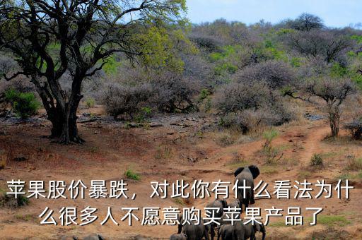 蘋(píng)果股價(jià)暴跌，對(duì)此你有什么看法為什么很多人不愿意購(gòu)買(mǎi)蘋(píng)果產(chǎn)品了