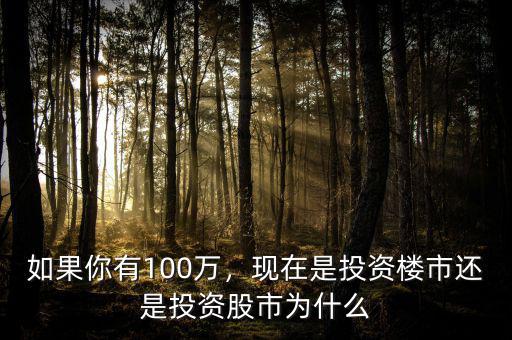 如果你有100萬(wàn)，現(xiàn)在是投資樓市還是投資股市為什么