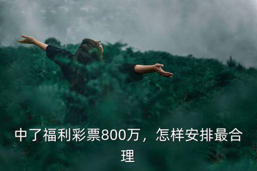 中了福利彩票800萬，怎樣安排最合理