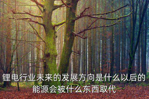 鋰電行業(yè)未來的發(fā)展方向是什么以后的能源會被什么東西取代