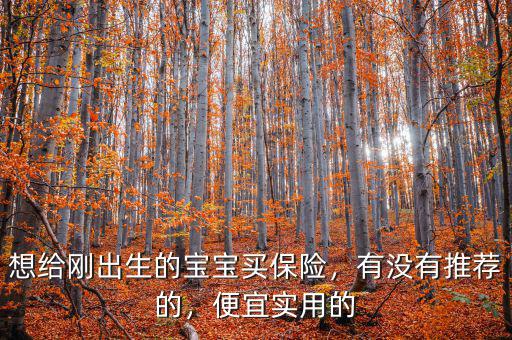 想給剛出生的寶寶買保險，有沒有推薦的，便宜實用的
