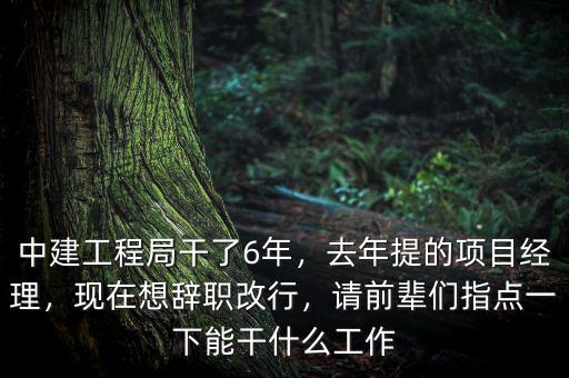 中建工程局干了6年，去年提的項目經(jīng)理，現(xiàn)在想辭職改行，請前輩們指點一下能干什么工作