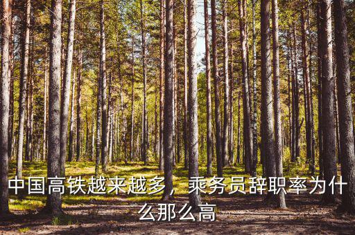 中國高鐵越來越多，乘務(wù)員辭職率為什么那么高