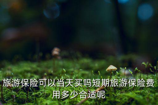 旅游保險(xiǎn)可以當(dāng)天買(mǎi)嗎短期旅游保險(xiǎn)費(fèi)用多少合適呢