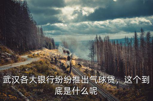 武漢各大銀行紛紛推出氣球貸，這個到底是什么呢