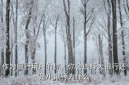 作為銀行用戶的你，你會選擇大銀行還是小銀行為什么
