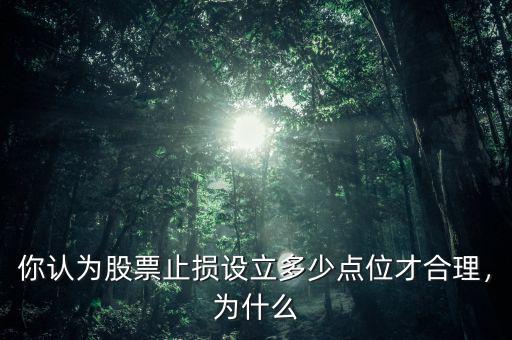 你認為股票止損設立多少點位才合理，為什么