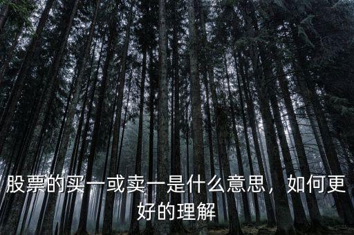 股票的買一或賣一是什么意思，如何更好的理解