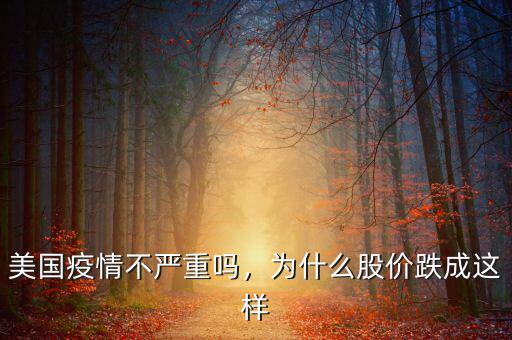 美國疫情不嚴重嗎，為什么股價跌成這樣
