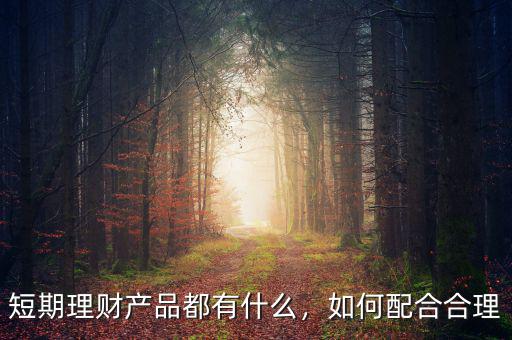 短期理財(cái)產(chǎn)品都有什么，如何配合合理