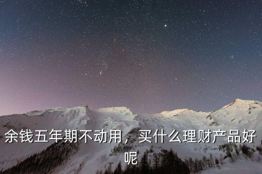 余錢五年期不動用，買什么理財產(chǎn)品好呢