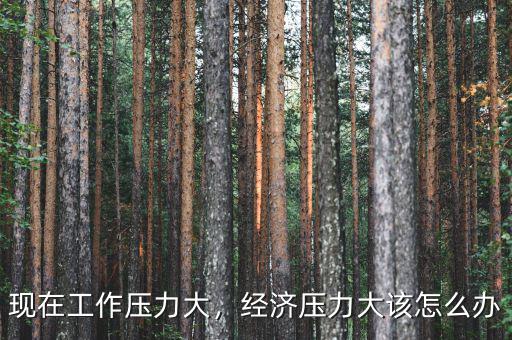 現(xiàn)在工作壓力大，經(jīng)濟(jì)壓力大該怎么辦