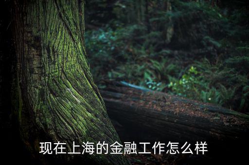 上?；バ沤鹑谠趺礃?上海立信會計金融學(xué)院怎么樣